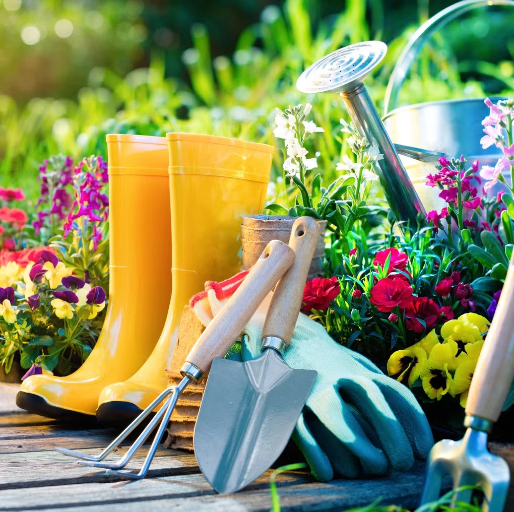 Maison, Jardin & Bricolage